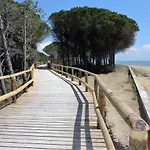 In 38314 * Bibione