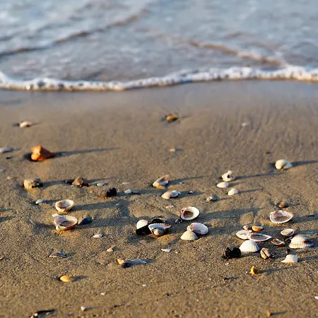 Appartamento In 38314